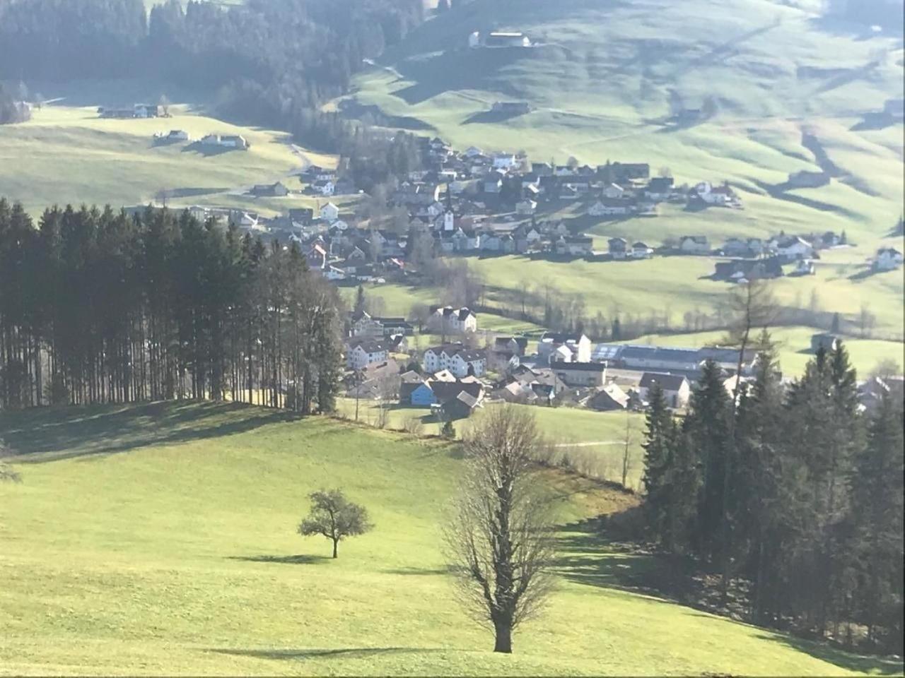 Nirkwerk - Die Wohnung - Wohnen Und Werken Schönengrund Exteriér fotografie